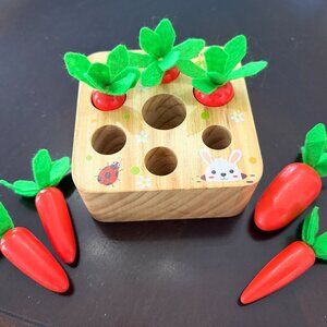 Goryeo Baby / toddler Montessori  inspired sorting box.